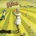Nursery Cryme - G CD