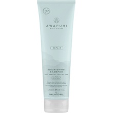 Paul Mitchell Awapuhi Wild Ginger Repair Šampón pre regeneráciu 250 ml