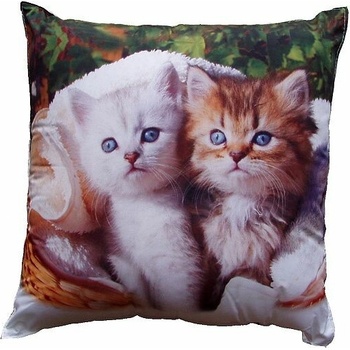 Dadka FotoVankúš Biele a hnedé mačiatko 40x40