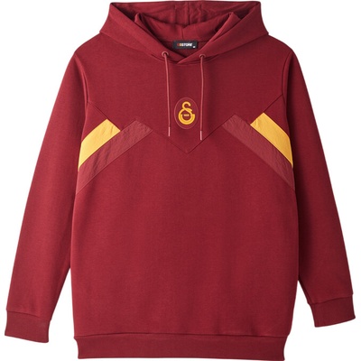Puma Galatasaray Istanbul Hoody vínová