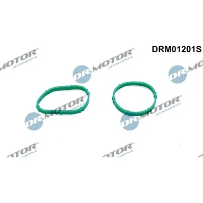 Dr.Motor Automotive Sada těsnění, koleno sacího potrubí DRM01201S