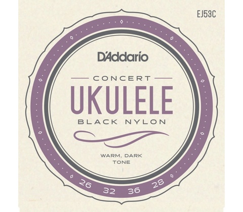 D'addario EJ53C