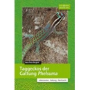 Taggeckos der Gattung Phelsuma - Berghof, Hans-Peter