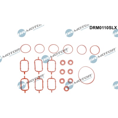 DR.MOTOR AUTOMOTIVE Sada tesnení kolena nasávacieho potrubia DRM0110SLX