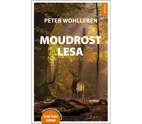 Moudrost lesa