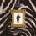 The Prodigy: Firestarter LP