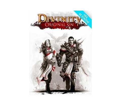 Divinity: Original Sin (Enhanced Edition)
