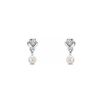 D for diamond strieborné náušnice E6588W