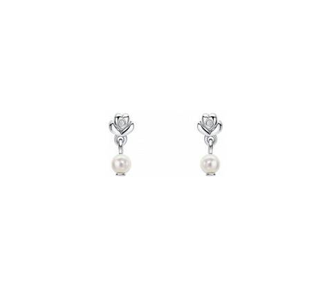 D for diamond strieborné náušnice E6588W