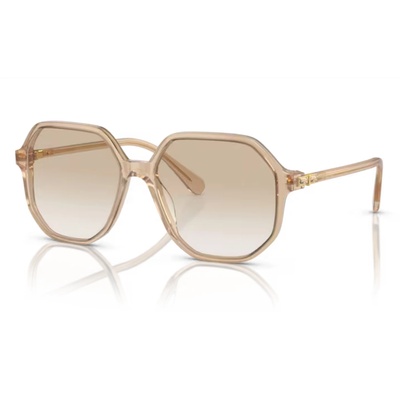 Swarovski SK6003 103411