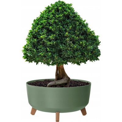 Prosperplast Květináč plast zelený 38 x 38 x 20 cm
