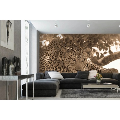Dimex MA-5-0594 Samolepicí vliesová fototapeta na zeď Sépiový portrét leoparda rozměry 375 x 250 cm
