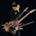 VAI, STEVE - INVIOLATE LP