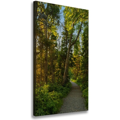 Vertikálny foto obraz na plátne Chodník v lese 50x100 cm