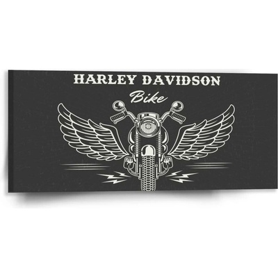 Sablio Obraz Harley-Davidson S křídly - 110x50 cm