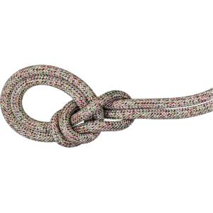 Mammut Полувъже Mammut 8.0 Alpine Core Protect Dry Rope Half rope - Assorted - размер 30 m (308-0385-0311)