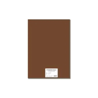 STEPA Barevný karton EXTRA 300g 50x70cm - hnědý 10listů