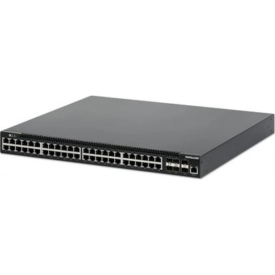 Intellinet 562041