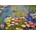 Bluebird Puzzle - Puzzle Claude Monet - Nymphéas - 1 000 piese