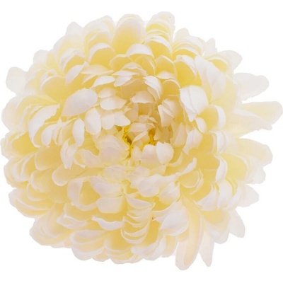 HLAVA CHRYZANTÉMA KRÉMOVÁ P:12CM BAL:6KS