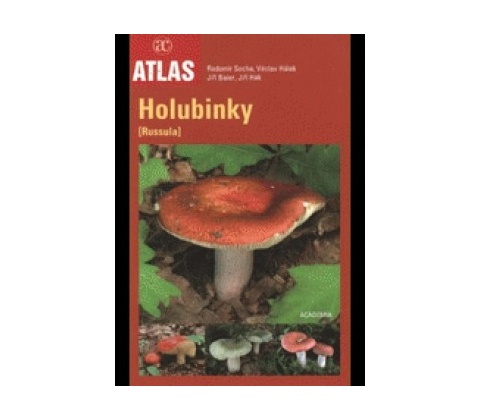 Holubinky
