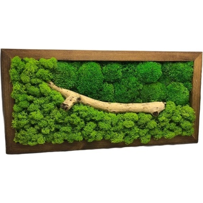 Machový obraz kombinácia s drevom 40x20cm