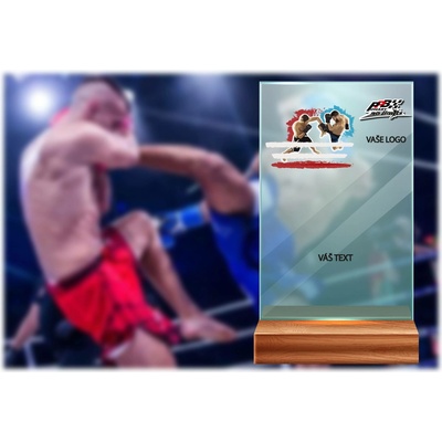 Skleněná trofej na dřevěném podstavci Kickbox Výška: 17 cm