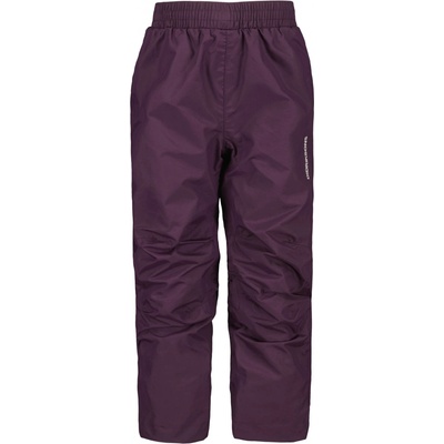 Didriksons Dětské outdoorové kalhoty Idur Plumb