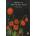 Poems of the Great War | Luigi Pirandello