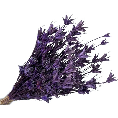Sušené kvety Černuška - Nigella orientalis 80g - tmavo fialové