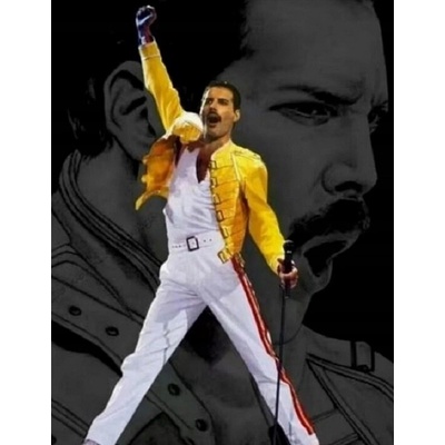 NORIMPEX Malování podle čísel Póza Freddieho Mercuryho 40 x 50 cm