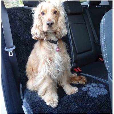 Pet Rebellion Ochranný potah na sedadlo 57 x 140 cm – Sleviste.cz