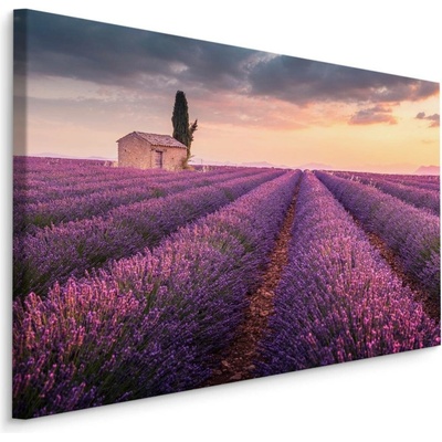 Plátno Kvetoucí Levandulové Pole Provence Varianta: 70x50