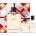 Hermès Terre D' Hermes (EDT) Gift Set EDT 100 ml + After Shave Lotion 40 ml + EDT 12.5 ml за мъже
