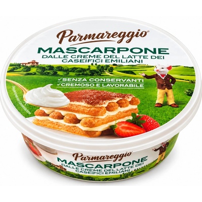 Gran terre parmareggio mascarpone krémový roztíratelný sýr 250 g