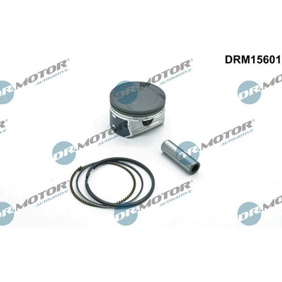 Dr.Motor Automotive DRM15601 – Hledejceny.cz