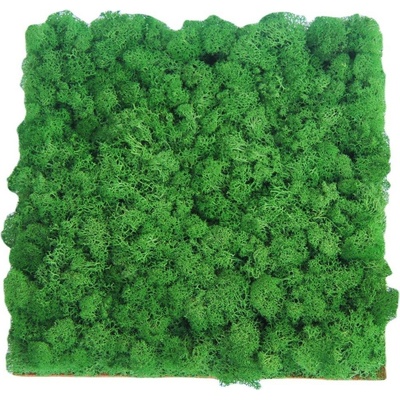 Nástěnný panel Islandský stabilizovaný mech 30*30 cm smaragdově zelená
