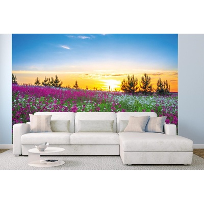 DIMEX ART Самозалепваща се флизелинова фототапета зора над цъфтяща поляна 375 x 250 см