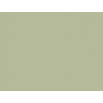 Image 1 of KAINDL 22458 mn avocado green 2800х2070х18 КЛ (22458 mn)