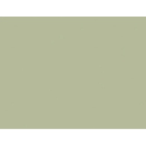 KAINDL 22458 mn avocado green 2800х2070х18 КЛ (22458 mn)