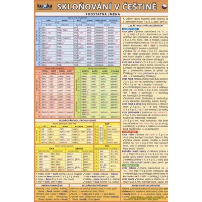 Skloňování v češtině - Kupka Petr a kolektiv