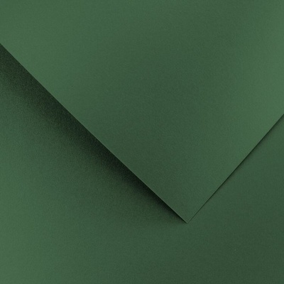 Papír na vizitky A4 210g 205457 Pearl, zelený – Zboží Mobilmania