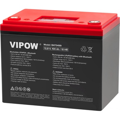 VIPOW 12V 100Ah BAT0499