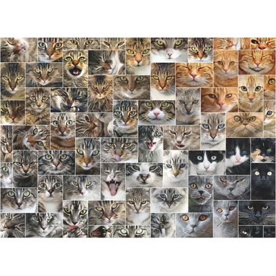 D-Toys - Puzzle Cats 2 - 1 000 piese