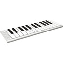 ESI Xkey 37