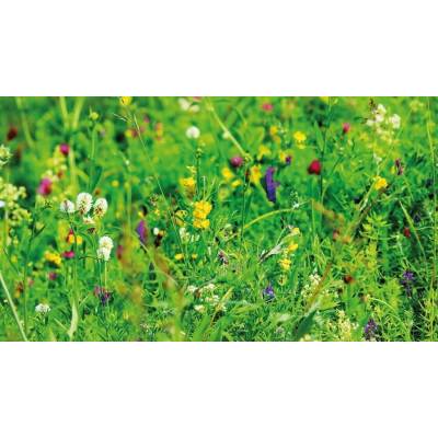Strukovinovo-obilná zmes Agronas 1 kg