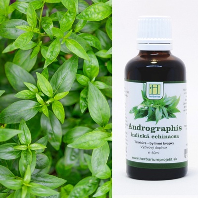 Andrographis Indická echinacea tinktúra 50 ml