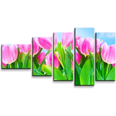 Sablio Obraz - 5-dílný Ružové tulipány - 100x60 cm