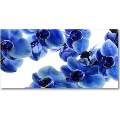 Foto obraz sklo tvrzené Modrná orchidea 100x50 cm