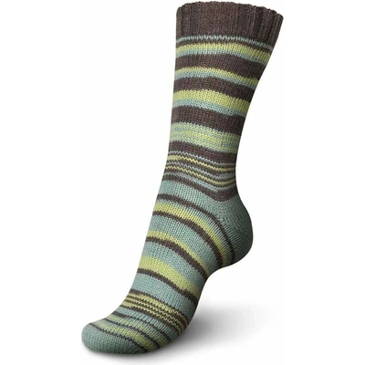 Regia 4-Ply Pairfect 2296 Brown-Beryl